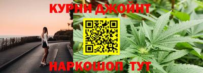 СК Донецк